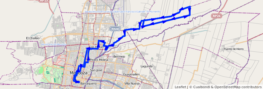 Mapa del recorrido 133 - Alagarrobal Abajo - Centro por Calle Maipú - Casa de Gob. - Bº Victoria de la línea G06 en Mendoza.