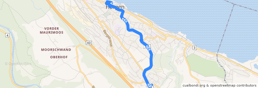 Mapa del recorrido Bus 132: Horgen, Waldegg => Horgen, Bahnhof de la línea  en Horgen.