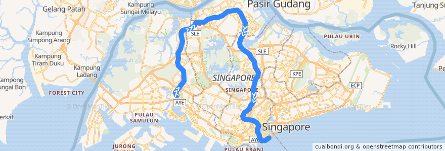 Mapa del recorrido MRT North-South Line (Jurong East --> Marina South Pier) de la línea  en Singapura.