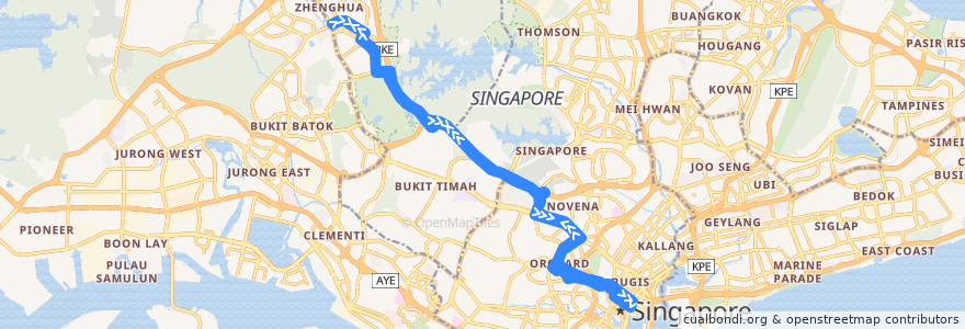 Mapa del recorrido Svc 700A (Bukit Panjang Temporary Bus Park => Temasek Ave [Loop]) de la línea  en Singapur.