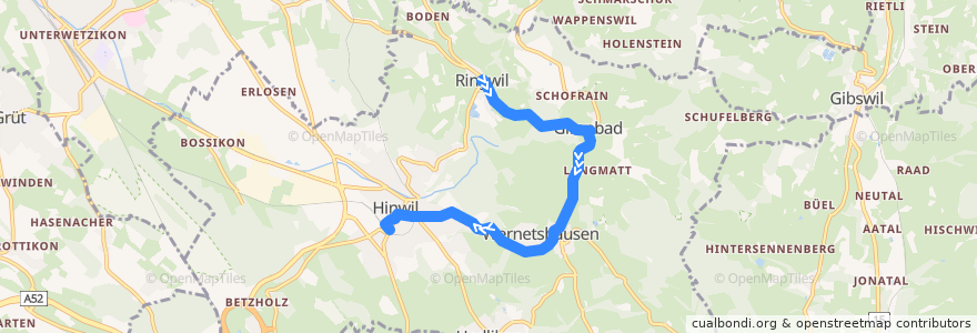 Mapa del recorrido Bus 875: Hinwil, Ringwil => Hinwil, Bahnhof de la línea  en Hinwil.