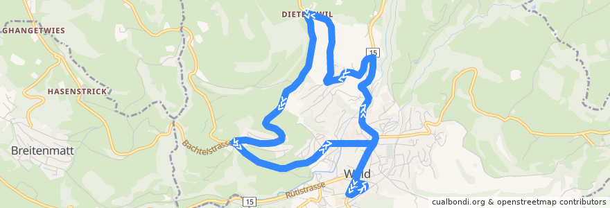 Mapa del recorrido Bus 893: Rundkurs Wald ZH de la línea  en Wald (ZH).