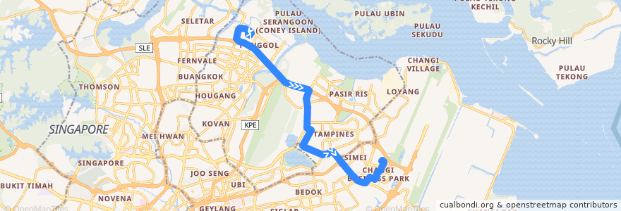 Mapa del recorrido Svc 118 (Punggol Temporary Interchange => Changi Business Park Bus Terminal) de la línea  en Singapura.