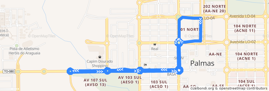 Mapa del recorrido 09 APINAJÉ/CAPIM DOURADO de la línea  en Palmas.