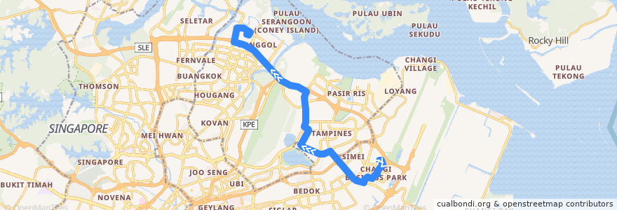 Mapa del recorrido Svc 118 (Changi Business Park Bus Terminal => Punggol Temporary Interchange) de la línea  en Singapur.