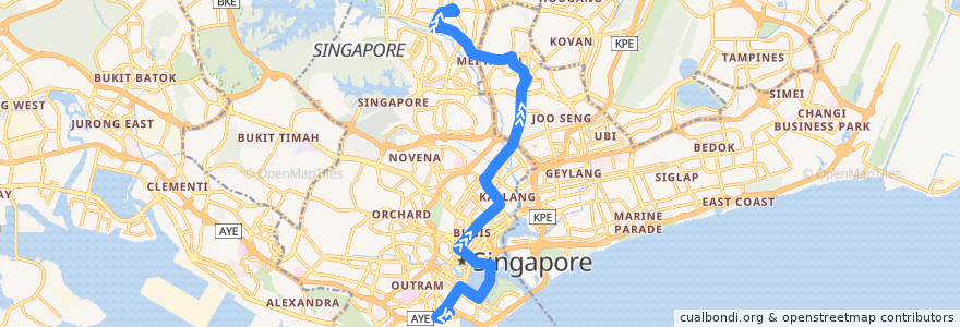 Mapa del recorrido Svc 133 (Shenton Way Terminal => Ang Mo Kio Interchange) de la línea  en Singapour.