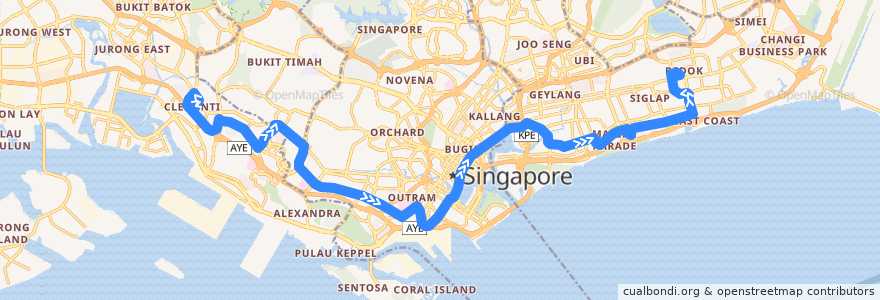 Mapa del recorrido Svc 196 (Clementi Interchange => Bedok Interchange) de la línea  en 싱가포르.