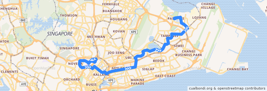 Mapa del recorrido Svc 21 (Saint Michael's Terrace => Pasir Ris Interchange) de la línea  en 新加坡.