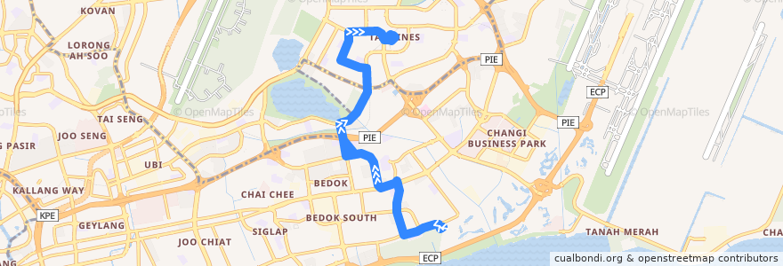 Mapa del recorrido Svc 46 (Tampines Interchange => Upper East Coast Terminal) de la línea  en Singapore.