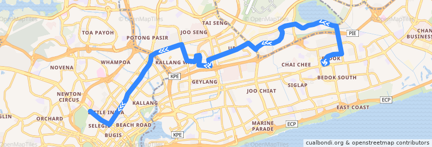 Mapa del recorrido Svc 66A (Bedok Interchange => Opposite Little India Station) de la línea  en سنگاپور.