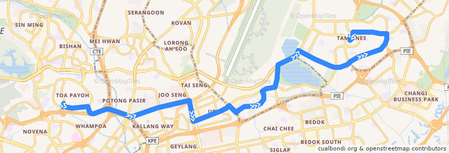 Mapa del recorrido Svc 8 (Toa Payoh Interchange => Tampines Interchange) de la línea  en Singapura.