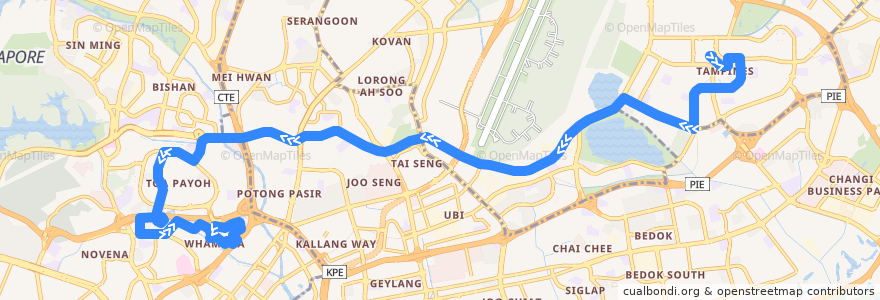 Mapa del recorrido Svc 129 (Tampines Concourse Interchange => St Michaels Terminal) de la línea  en Singapore.