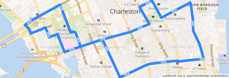 Mapa del recorrido CARTA 204 MUSC/Calhoun Circulator de la línea  en Charleston.