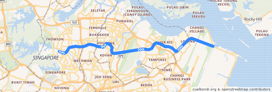 Mapa del recorrido MRT Cross Island Line (Aviation Park --> Bright Hill) de la línea  en Singapour.